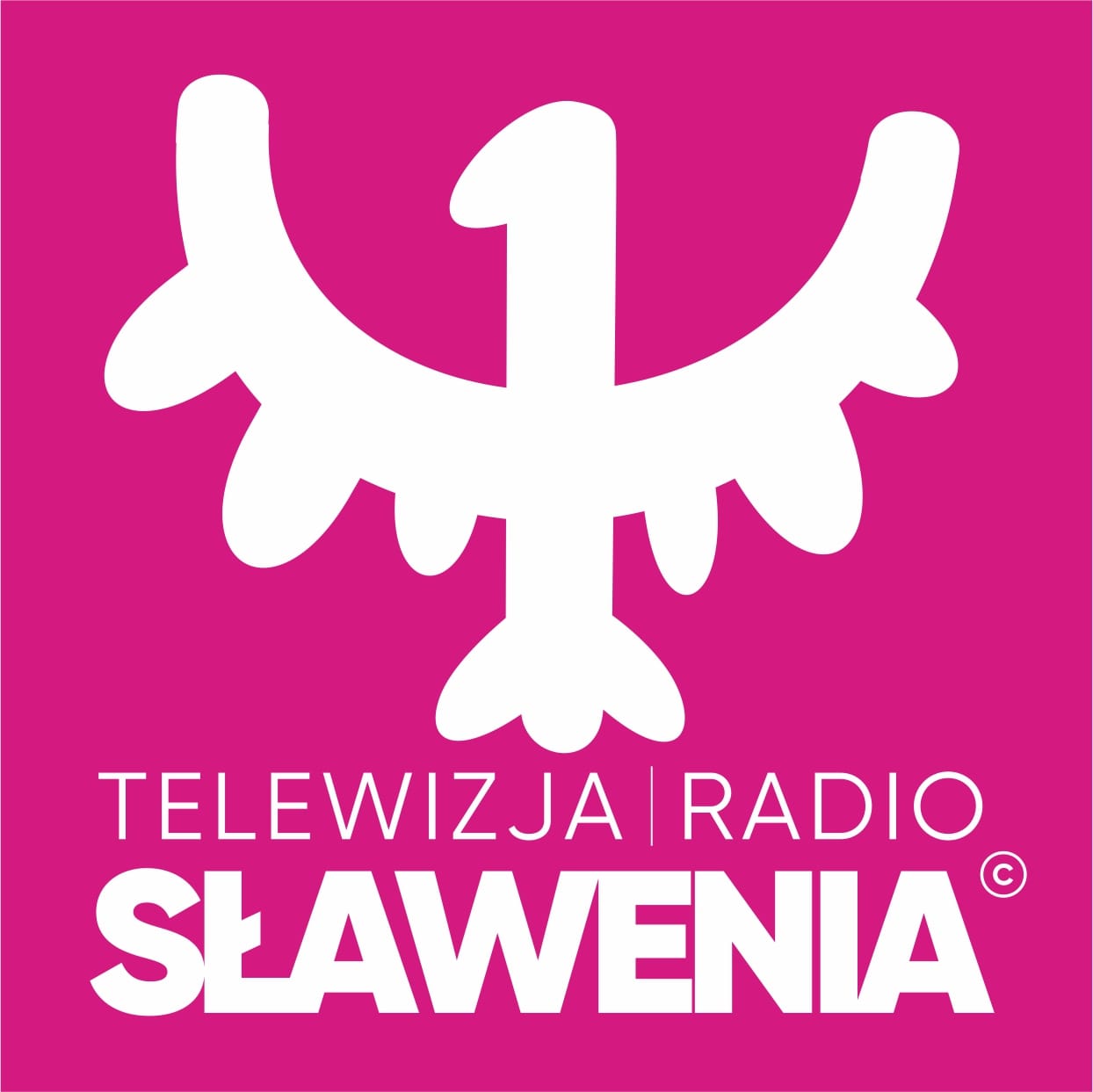 RTV Sławenia Blog , Informacje